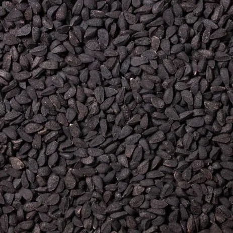Jintan Hitam